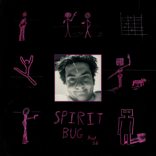 Spirit Bug