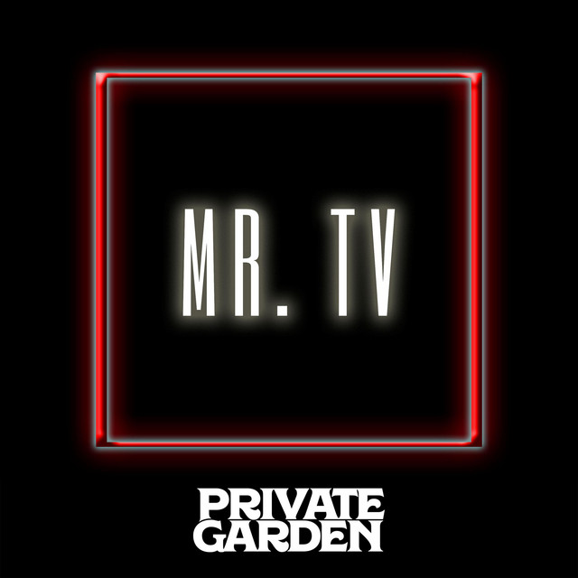 Mr. TV cover