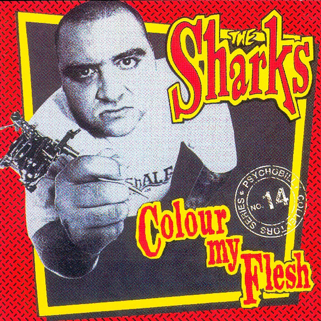 Colour My Flesh cover art