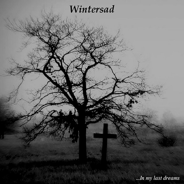 Wintersad Photo