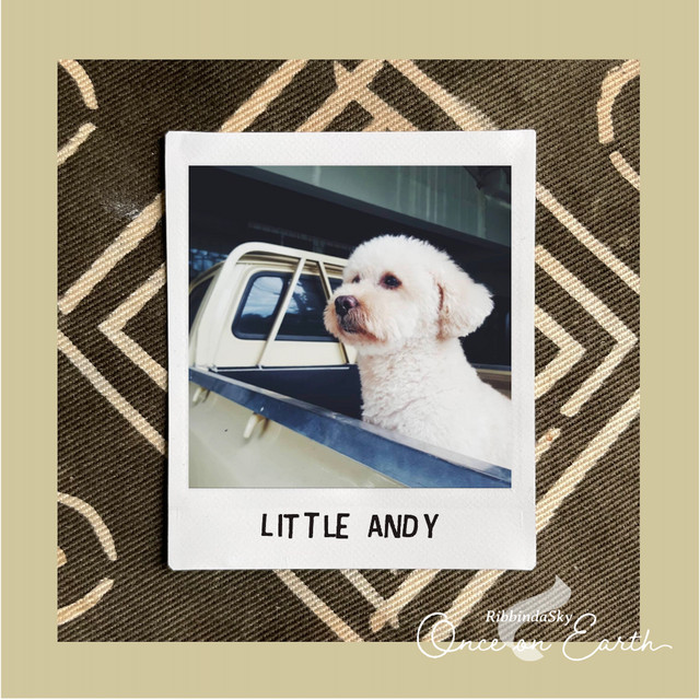 Little Andy