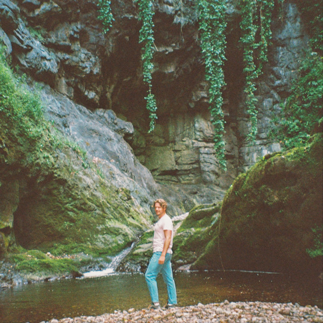 Canopy cover art