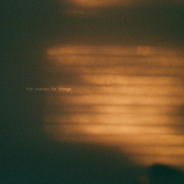 The Reason for Things cover