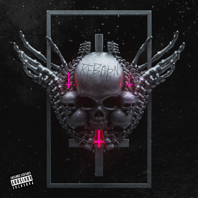 Reborn cover art