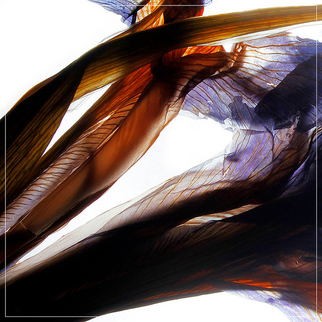 Confession cover