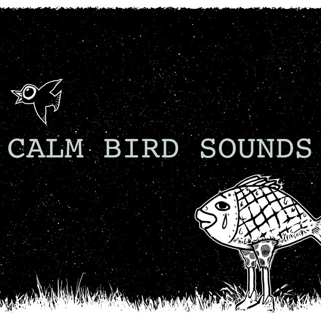Calm Bird Sounds