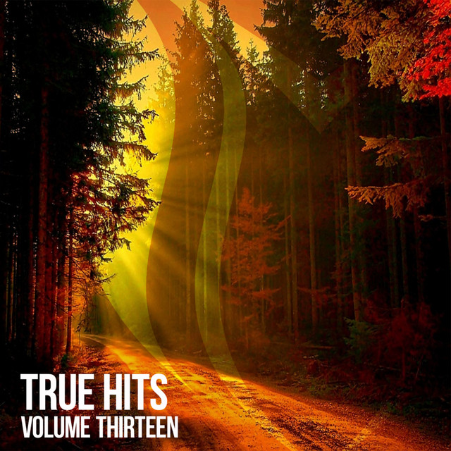 True Hits, Vol. 13 cover