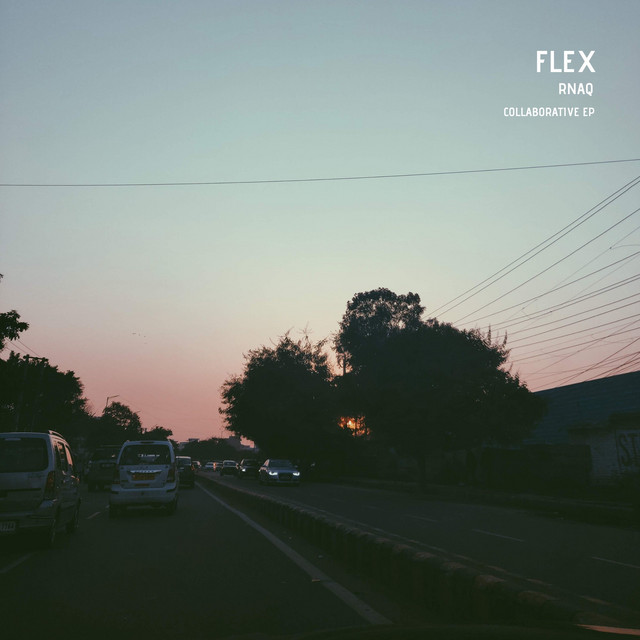 Flex cover art
