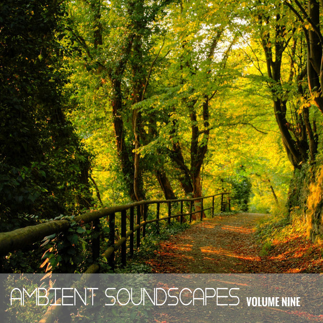 Ambient SoundScape, Volume 9 cover