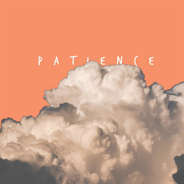 Patience - Single by Stefan | Spotify