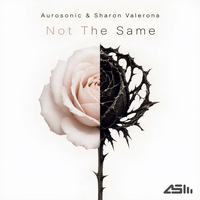 Not The Same cover