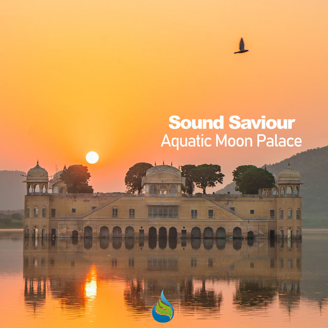 Sound Saviour Photo