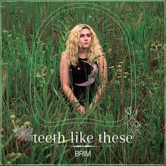 teeth like these cover art
