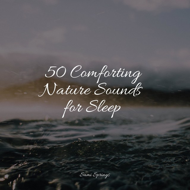 50 Comforting Nature Sounds for Sleep - Album by Japanese Relaxation ...
