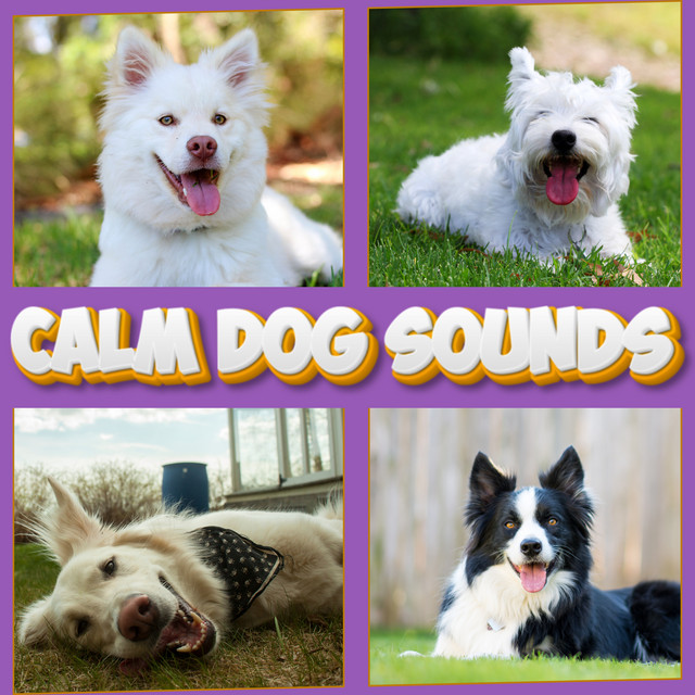 Calm Dog Sounds