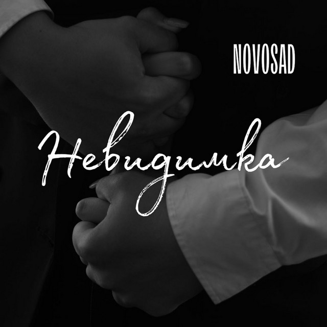 Обкладинка: Невидимка — NOVOSAD