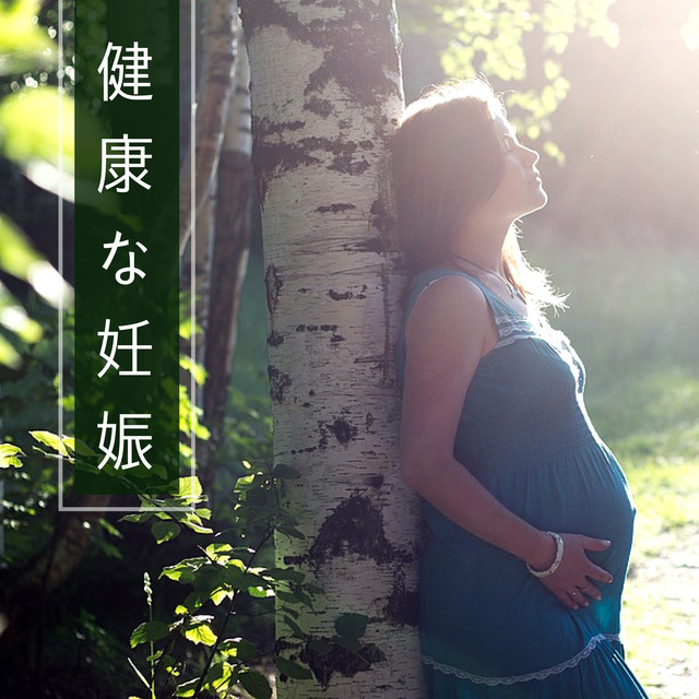 清々しい泉のスパ Song By セレンディピティ Bgm Spotify