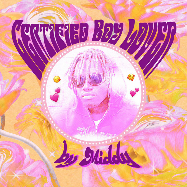 Certified Boy Lover cover art