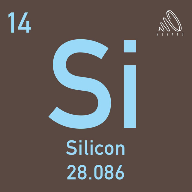Silicon cover art
