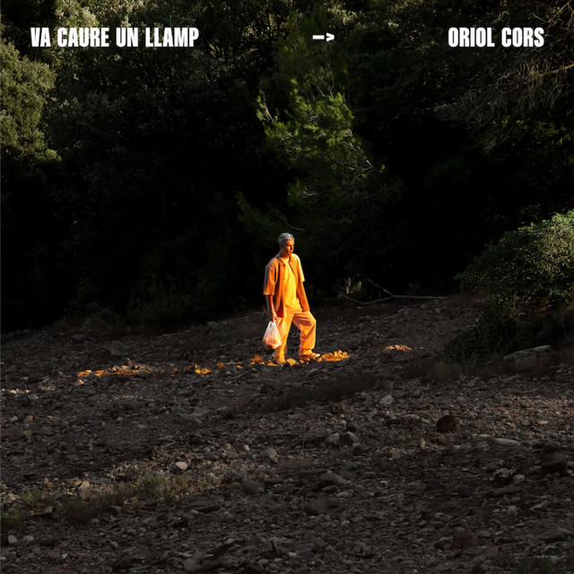 Va caure un llamp cover