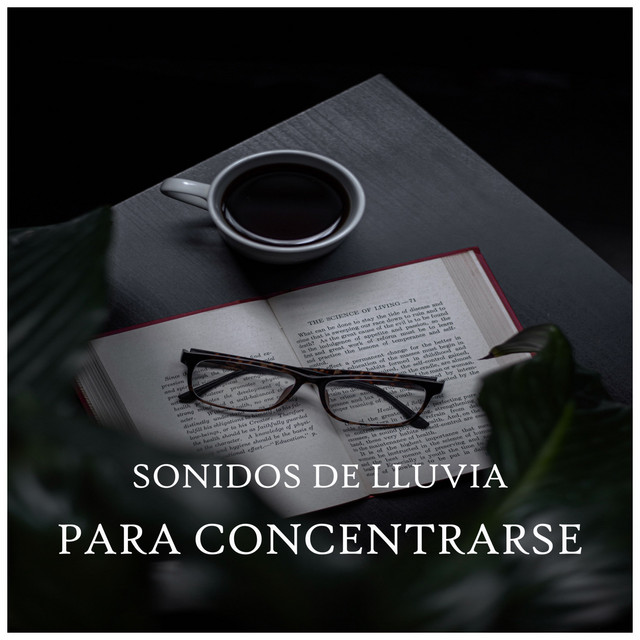 Sonidos de Lluvia para Concentrarse