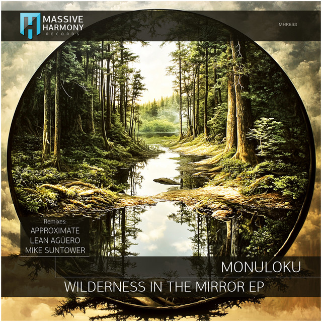 Wilderness in the Mirror - Mike Suntower Remix cover art