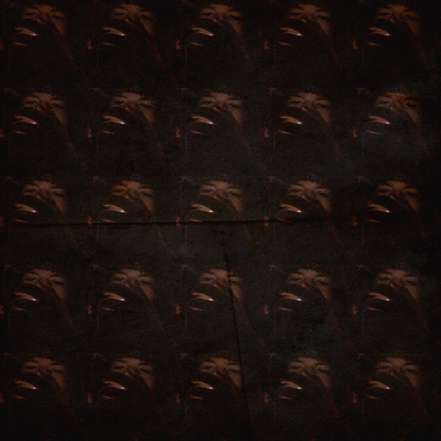 Troubled Words From a Troubled Mind cover art