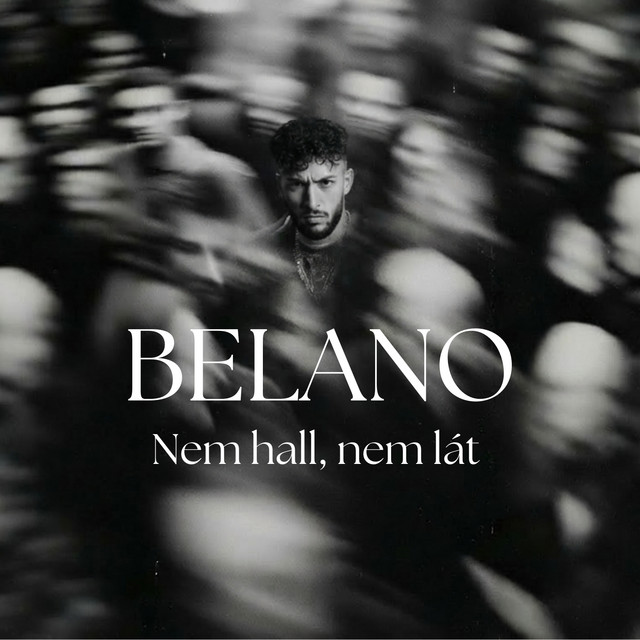 NEM HALL, NEM LÁT cover art