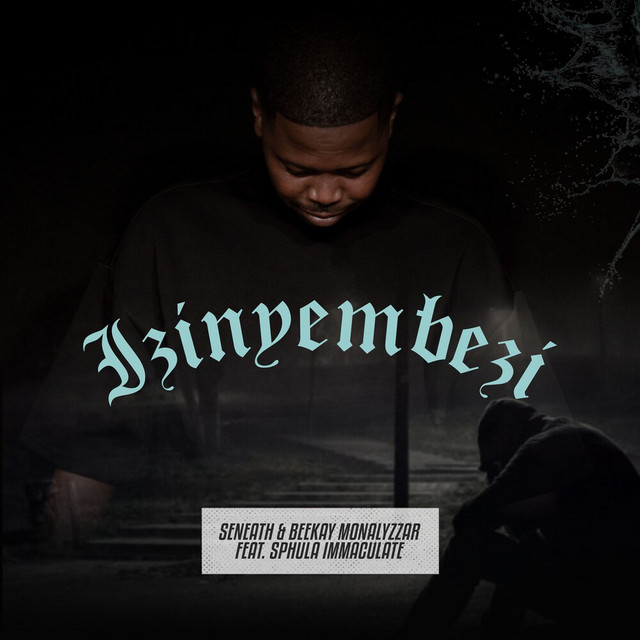 Izinyembezi album image