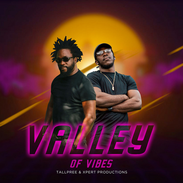 Valley of Vibes cover art