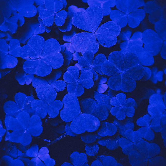 St. Purple's Day cover art