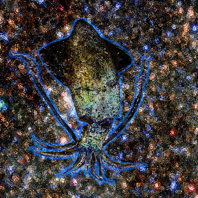 Slippy Sim-Sim Scadalintoumous, The Very Special Squid cover art