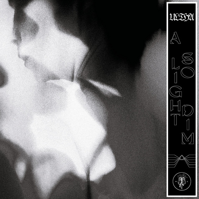 A Light So Dim cover art