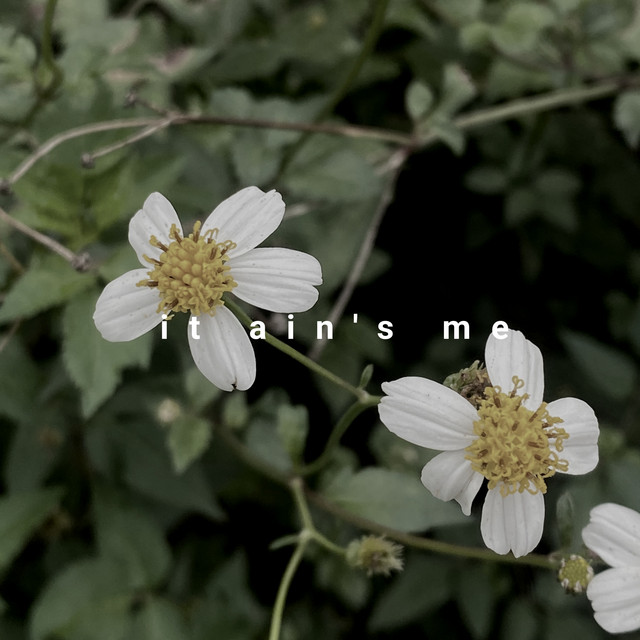 It Ain's Me cover art