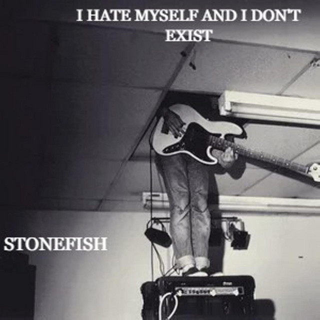 I Hate Myself and I Don't Exist cover art