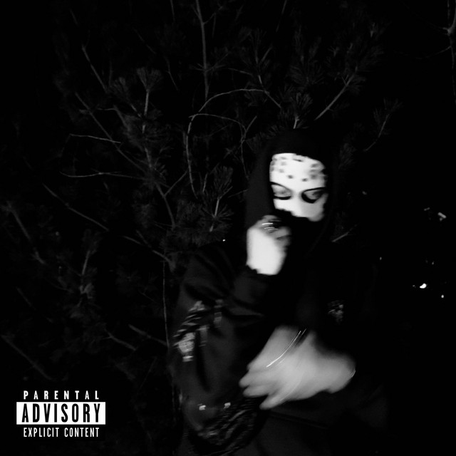 WOODS cover art