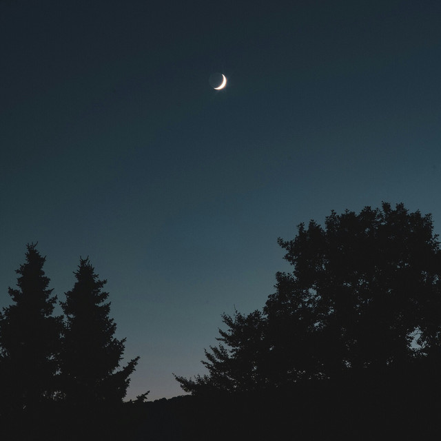 The Space Between Dreams album image