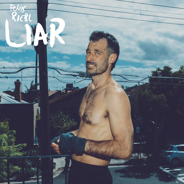 Liar by Felix Riebl
