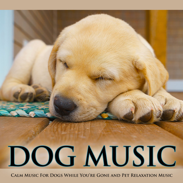 Dog Music: Calm Music For Dogs While You're Gone and Pet