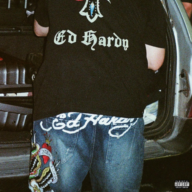ed hardy jeans album image