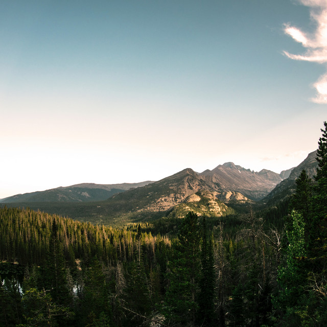Nature First cover art