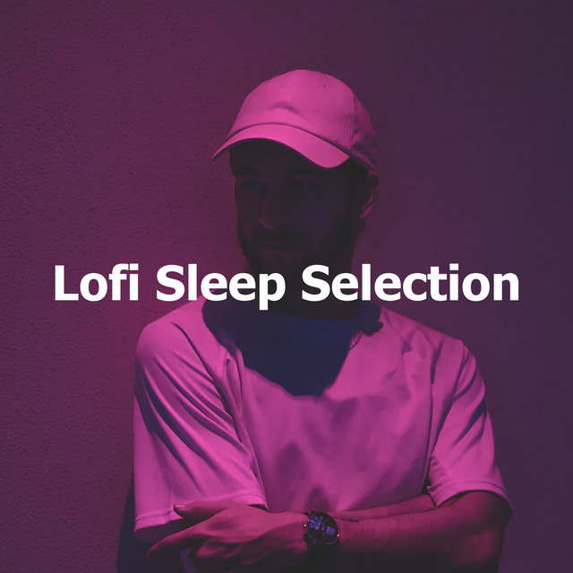 Lofi Sleep Selection cover art