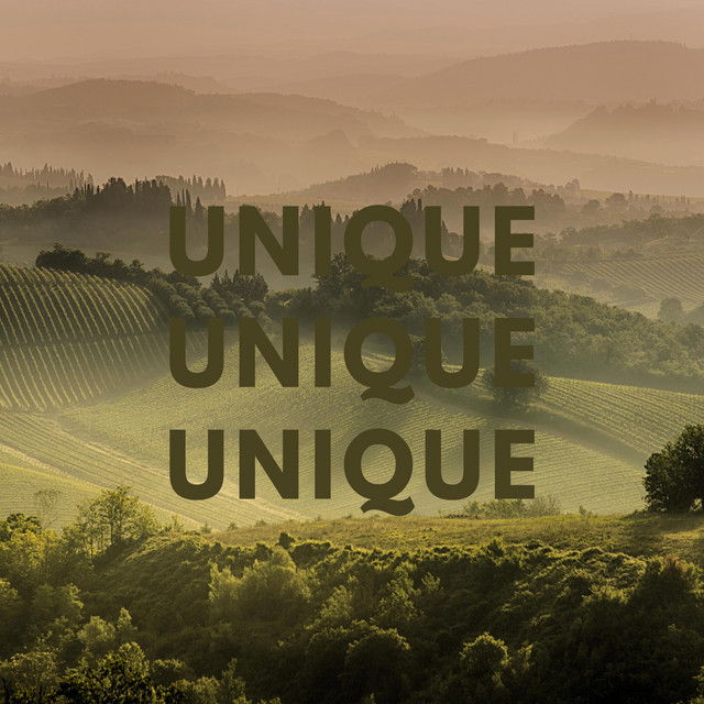 Unique cover art