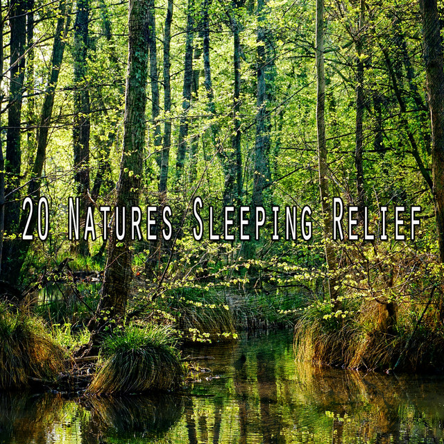 20 Natures Sleeping Relief - Album by Nature Sounds Artists | Spotify