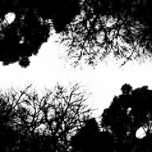 get spooked. - Single de Dolve | Spotify