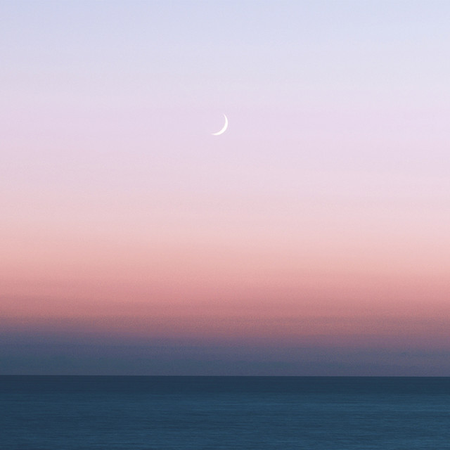 Sudden Feelings