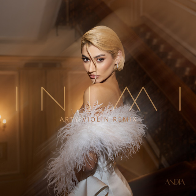 Inimi - Arty Violin Remix