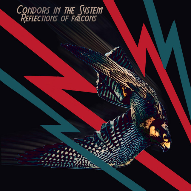 Reflections Of Falcons cover