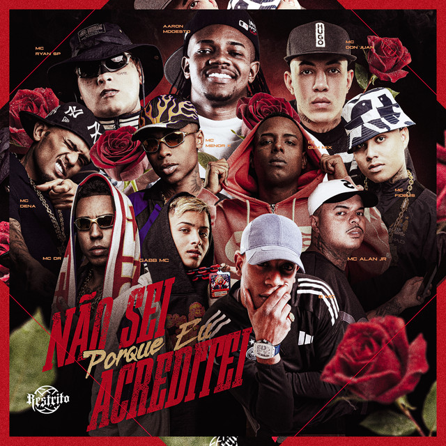Não Sei Porque Eu Acreditei (feat. MC Meno K, Gabb MC, Mc Fidelis, Mc Dena, Mc DR, BMC & DJ Guh Mix) album image