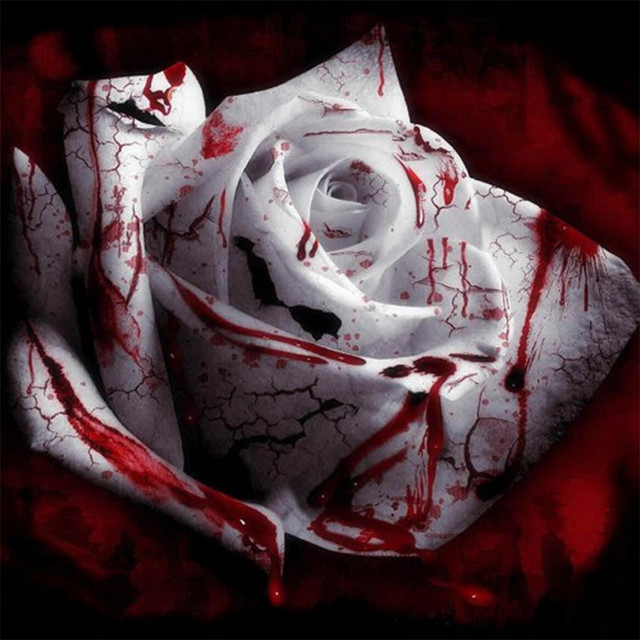 FTW! cover art